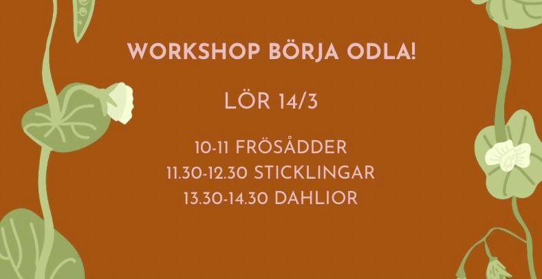Workshop: Börja odla